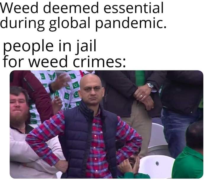Weed deemed essential during global pandemic. people in jail FOr rwieed crimes: